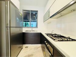 Radiance @ Bukit Timah (D21), Terrace #543607331